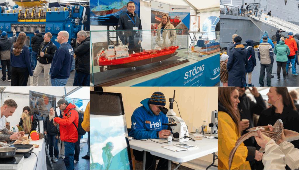 bildekolasje av ungdommer som utforsker maritime aktiviteter