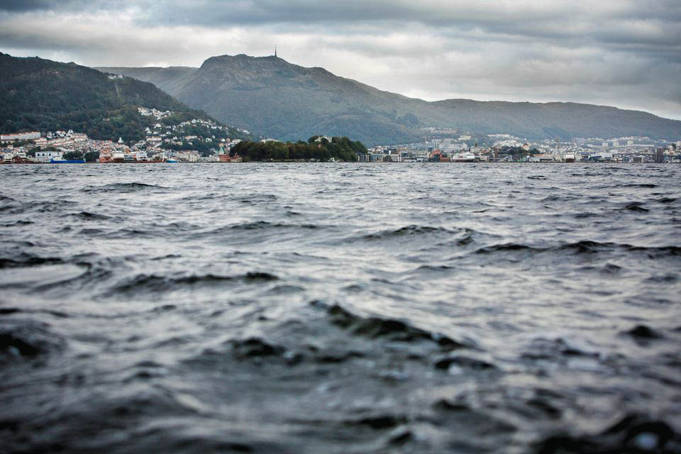Universietet i Bergen fortsetter som knutepunkt for FNs bærekraftsmål 14, Livet i havet. Foto: Eivind Senneset for UiB